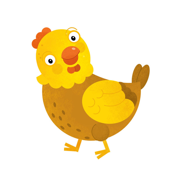 cartoon scene with chicken hen on white background - illustration for children - Zdjęcie, obraz