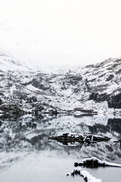 zugefrorener Gebirgsfluss mit schneebedeckten Kiefern. Winter in den Bergen - Foto, Bild