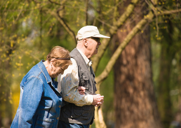 Senior couple in the park - Fotoğraf, Görsel