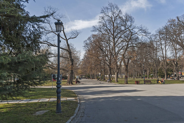 SOFIA, BULGARIA - MARCH 7, 2019: Landscape with Trees and gardens at Borisova gradina(Boris Garden) in city of Sofia, Bulgaria - Φωτογραφία, εικόνα