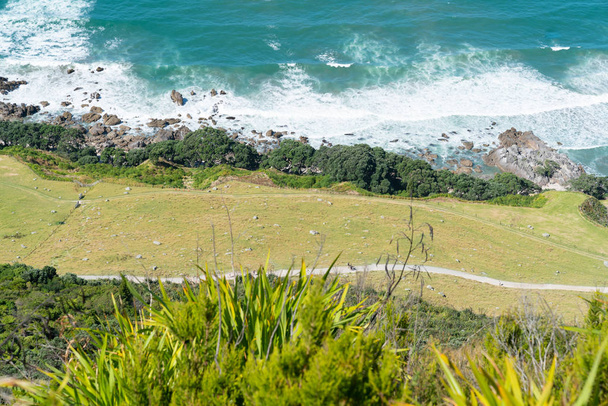 Walking track sea and walkers in distance on Mount Maunganui  - Photo, Image