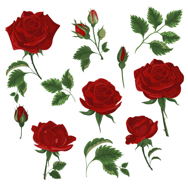 rote Rose mit schwarzer Umrisslinie Dekorelement isoliert auf weiß - Vektor, Bild