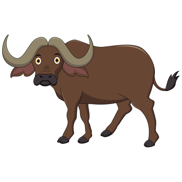 Illustratie van schattige Kafferbuffel - Vector, afbeelding