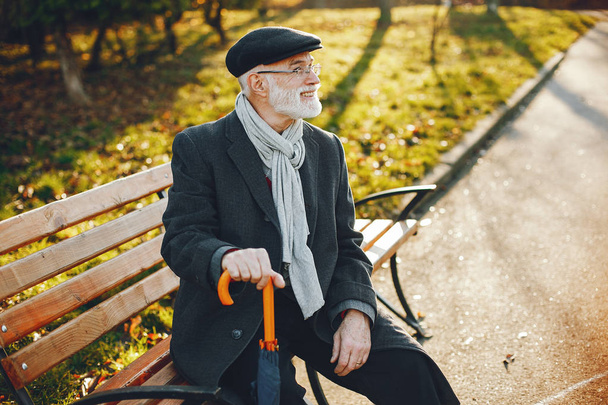Elegant old man in a sunny autumn park  - Фото, зображення