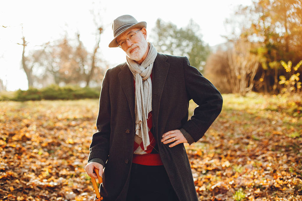 Elegant old man in a sunny autumn park  - Fotó, kép