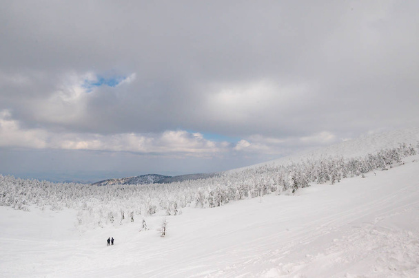 vista panorámica del monstruo de nieve en el Monte Zao
 - Foto, imagen