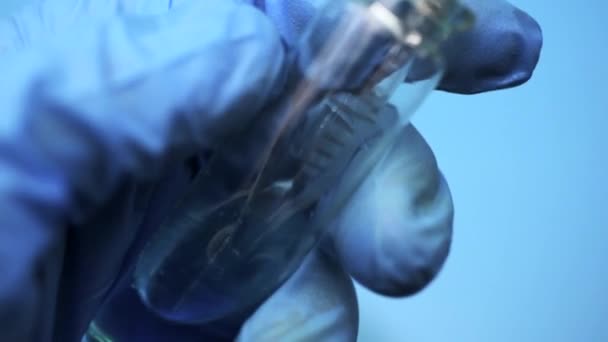 The doctor dials a blue liquid into the laboratory pipette. Chemical research in the laboratory. - Filmagem, Vídeo