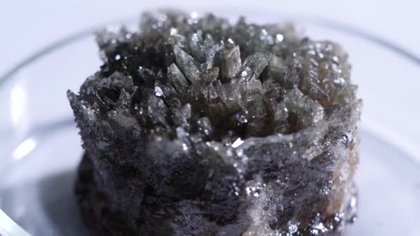 Primer plano de la roca cristalina fósil. Pieza cristalina de mineral oscuro sin tratar que yace en una taza de vidrio sobre un fondo blanco
 - Metraje, vídeo