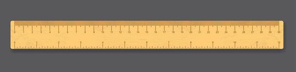 Realistische School houten meten liniaal - Vector, afbeelding