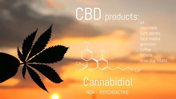 CBD Cannabis produto. Marijuana medicinal e Cannabidiol CBD chem
 - Foto, Imagem