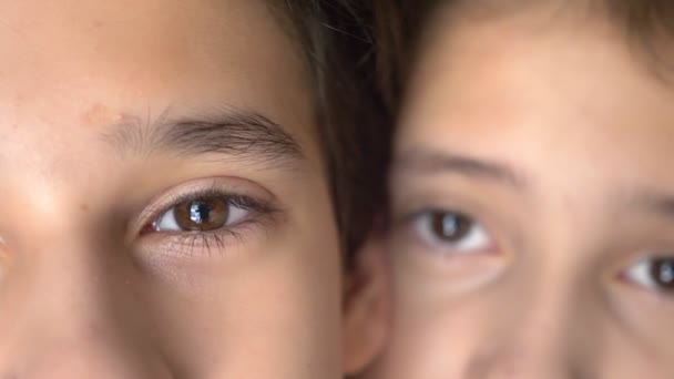 Nahaufnahme, die braunen Augen eines Jungen und eines Teenagers sind in der Nähe. Zwillinge - Filmmaterial, Video