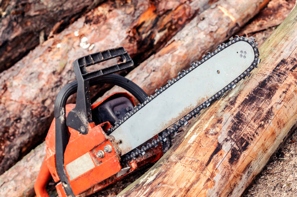 木材のプロのチェーンソーブレード切断ログ。チェーンソー、木、木の伐採. - 写真・画像