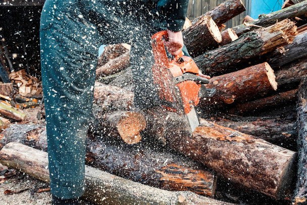 Erkek oduncu fells chainsaw orman. Forester'ın iş. - Fotoğraf, Görsel