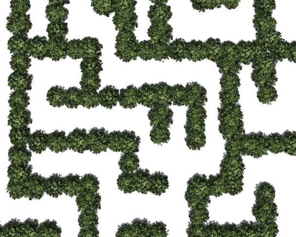 Buchsbaumlabyrinth - isoliert auf weißem Hintergrund - Foto, Bild