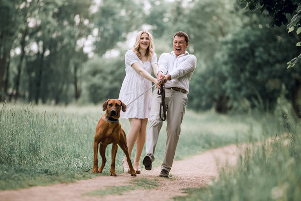 young husband and his wife with their pet dog on a walk in the Park - Фото, изображение