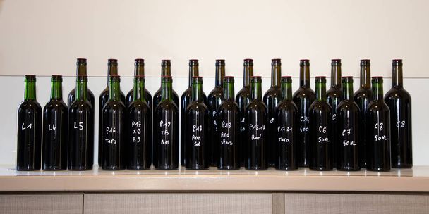 μπουκάλι κόκκινο κρασί χωρίς ετικέτα για γευσιγνωσία των οινοπαραγωγών και οινολόγων - Φωτογραφία, εικόνα