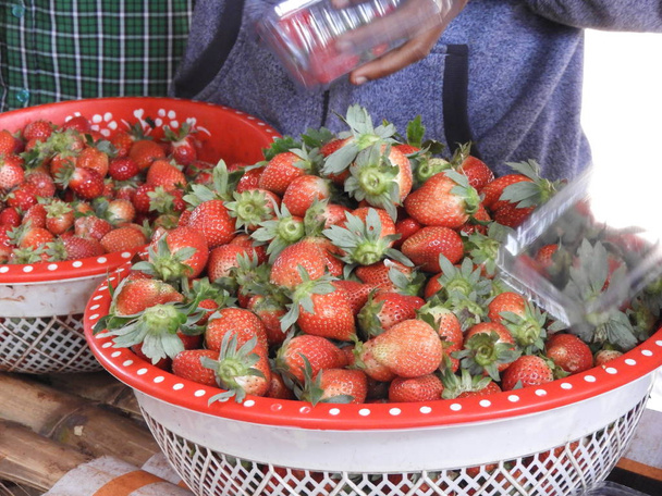 frutos de morango coloridos em uma cesta closeup
 - Foto, Imagem