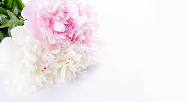 Beautiful Bouquet of white and light pink peonies on white backg - Fotó, kép