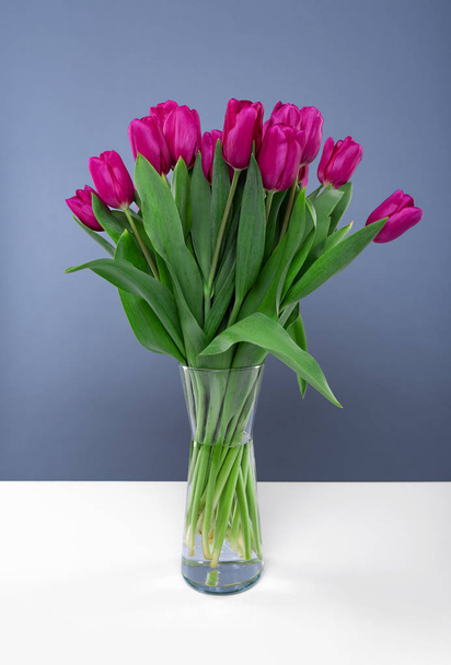 A bouquet of pink tulips on a blue background. - Фото, зображення