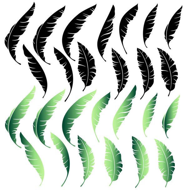 Tropical plant illustration material, - Vektor, obrázek