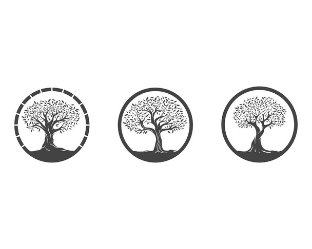 Векторная иллюстрация оливковых деревьев
 - Вектор,изображение