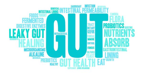 Gut Word Cloud - Vector, Image