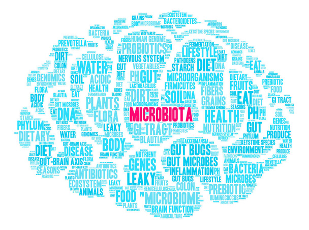 Mikrobiota Wortwolke - Vektor, Bild