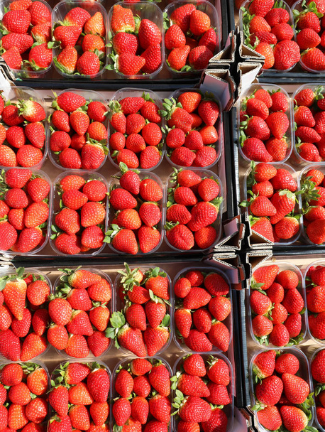 background of many tubs of red ripe strawberries for sale - Foto, immagini