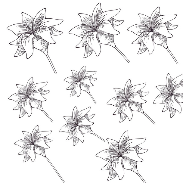 patroon planten en kruiden geïsoleerde pictogram - Vector, afbeelding