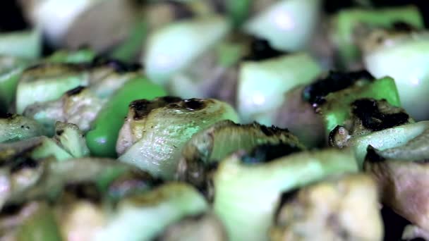 Frisches Fleisch und Gemüse in Nahaufnahme grillen - Filmmaterial, Video