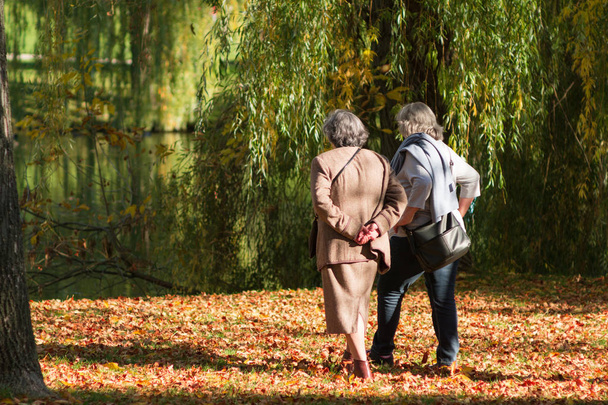 couple of eldery women  in autumn park - Photo, Image