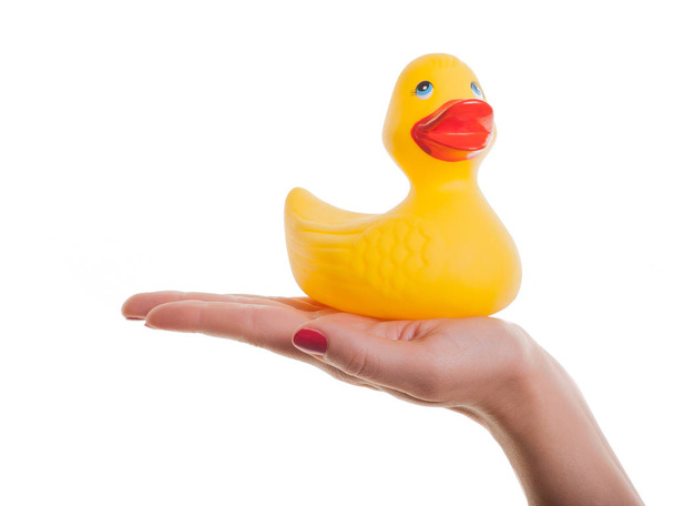 hands and duck isolated on white background - Foto, Bild