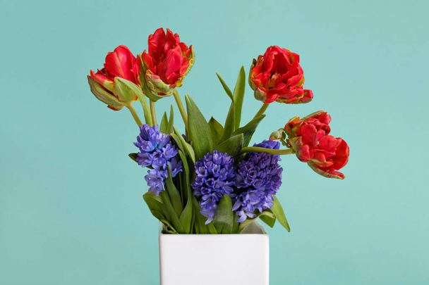 Red tulips and blue hyacinth flowers in white vase - Фото, зображення
