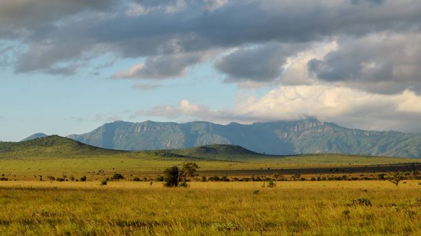 Wędrówki po malowniczych górskich krajobrazach wiejskiej Kenii - Zdjęcie, obraz