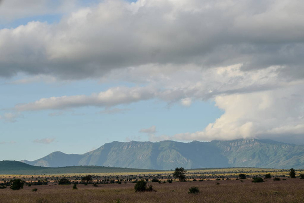 Пустельна дорога в саванній степах Східного національного парку Тсаво (Кенія). - Фото, зображення