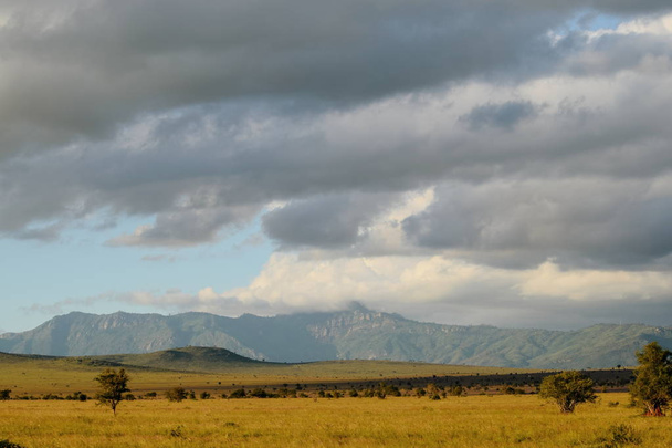 Špinavá cesta v savanských pastvinách Národního parku Tsavo, Keňa - Fotografie, Obrázek
