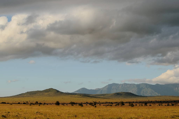 Пустельна дорога в саванній степах Східного національного парку Тсаво (Кенія). - Фото, зображення