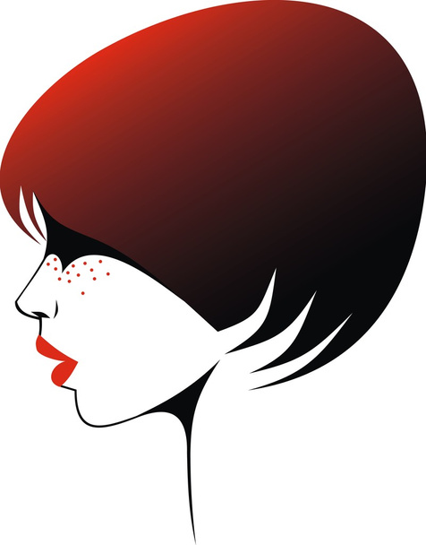 woman head and their hair (hair stylist vector) - Вектор,изображение