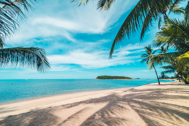 Piękna plaża tropikalne morze i piasek z palmy kokosowe drzewo na  - Zdjęcie, obraz
