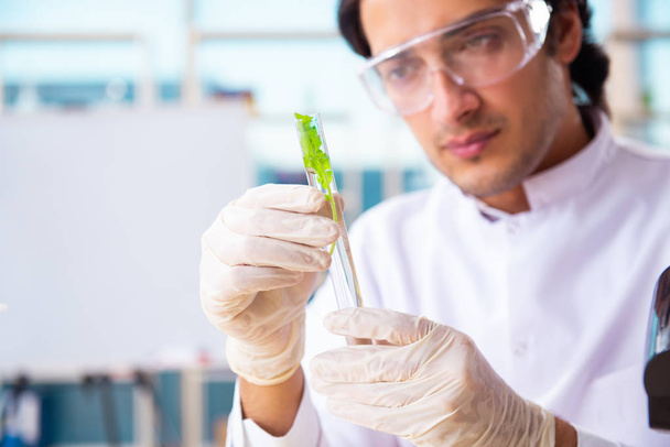 Male biotechnologiích vědec chemik pracující v laboratoři - Fotografie, Obrázek