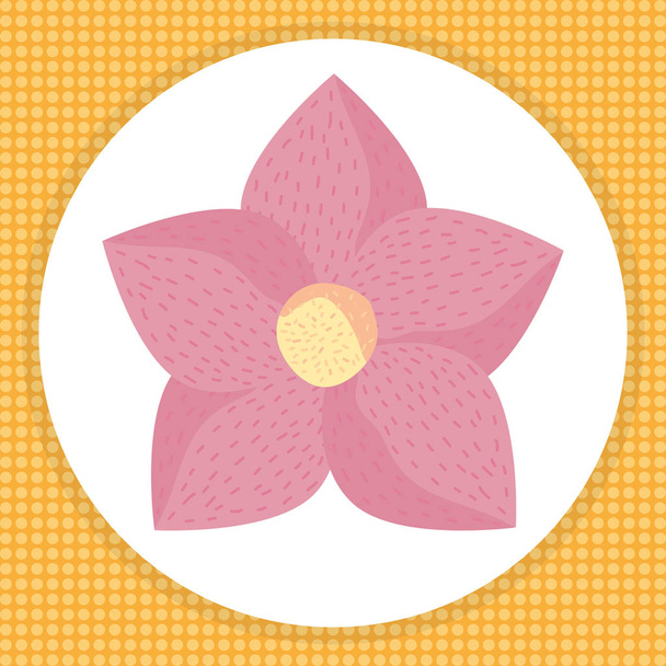 beautiful flower decorative icon - Vector, Image