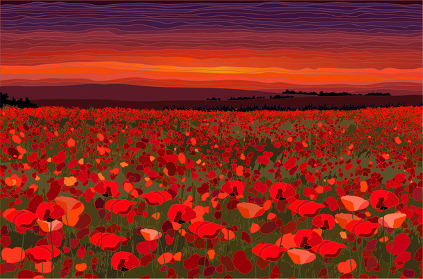 夕焼け空のベクトル図と明るいケシ畑 - ベクター画像