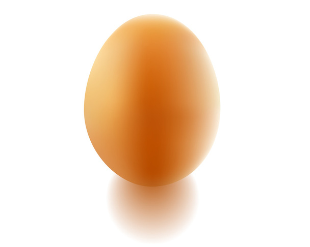 Куриное яйцо
 - Вектор,изображение