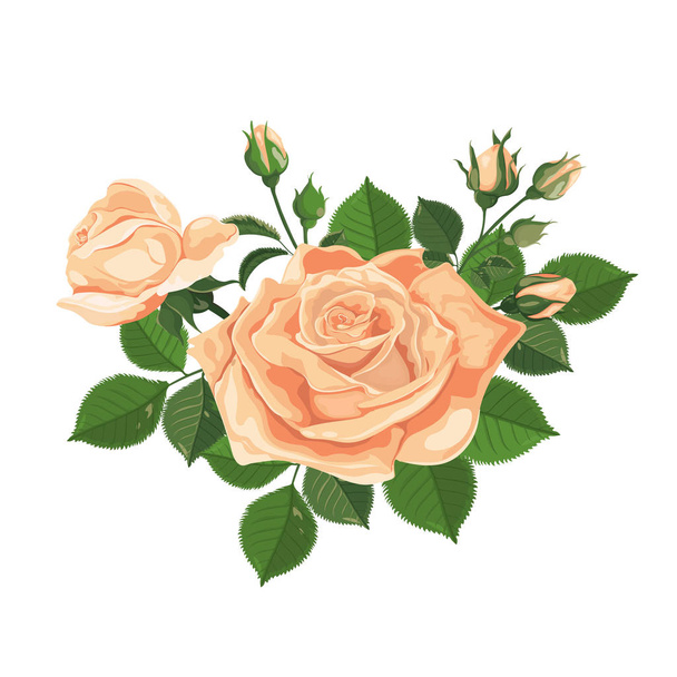 Μπουκέτο με τριαντάφυλλα, κίτρινο τριαντάφυλλο λουλούδι-τριαντάφυλλα, μπουμπούκια, φύλλα. Εικονογράφηση διάνυσμα που απομονώνονται σε λευκό. - Διάνυσμα, εικόνα