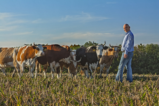 Farmer looking at camera and standing near cows - Foto, afbeelding
