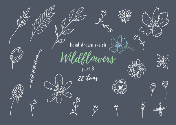 Vector Collection Of Hand Drawn Sketches With Plants - Vector, Imagen