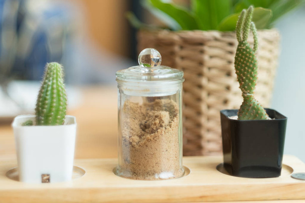Pequeño jarrón de cactus y una botella de azúcar morena
 - Foto, Imagen