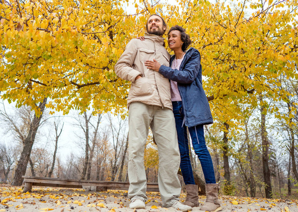 Casal apaixonado estão andando no parque de outono. Menina afro-americana com um europeu
. - Foto, Imagem