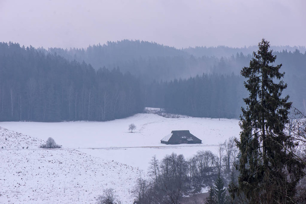 森と雪に覆われたフィールドのある冬景色を凍結 - 写真・画像