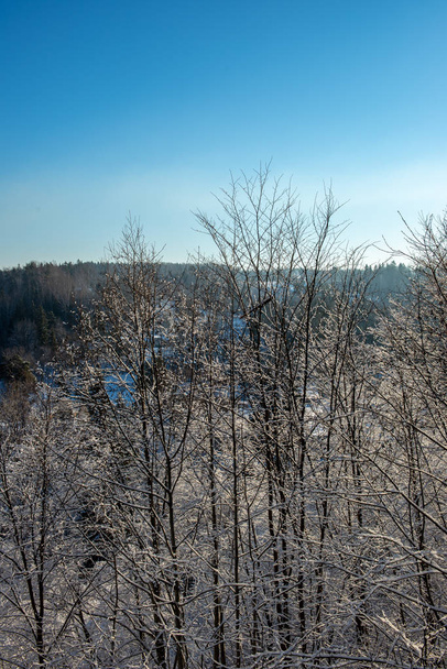 zamrożone Zima Krajobraz z lasami i polami pokryte śniegiem - Zdjęcie, obraz